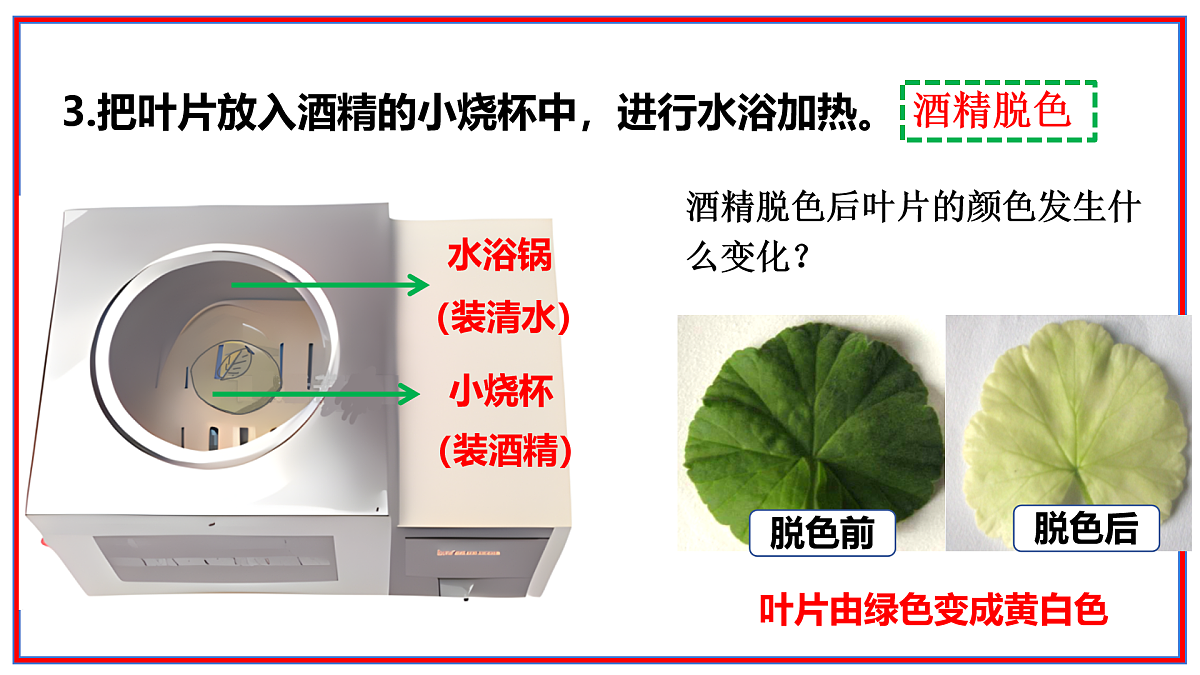 17964043第7页