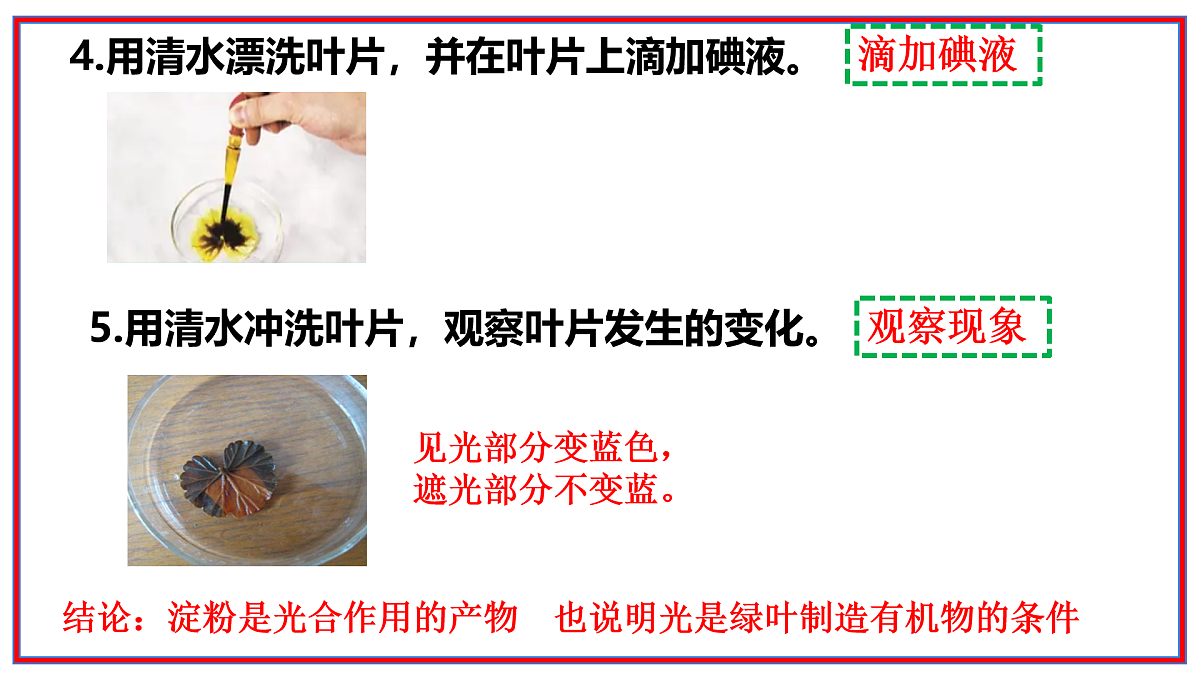 17964043第8页