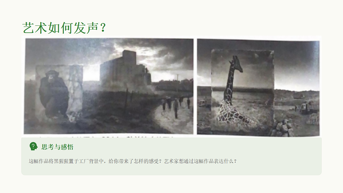 《动物保护》第5页