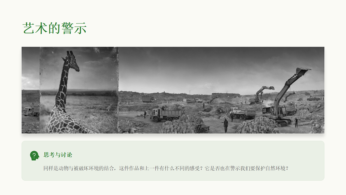 《动物保护》第6页