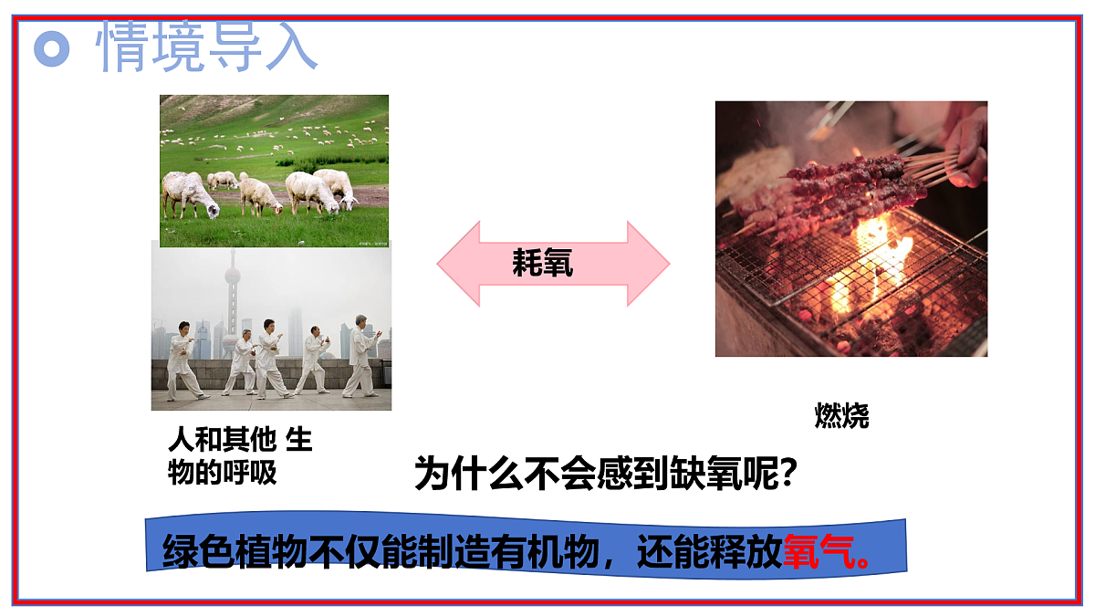 17964045第3页