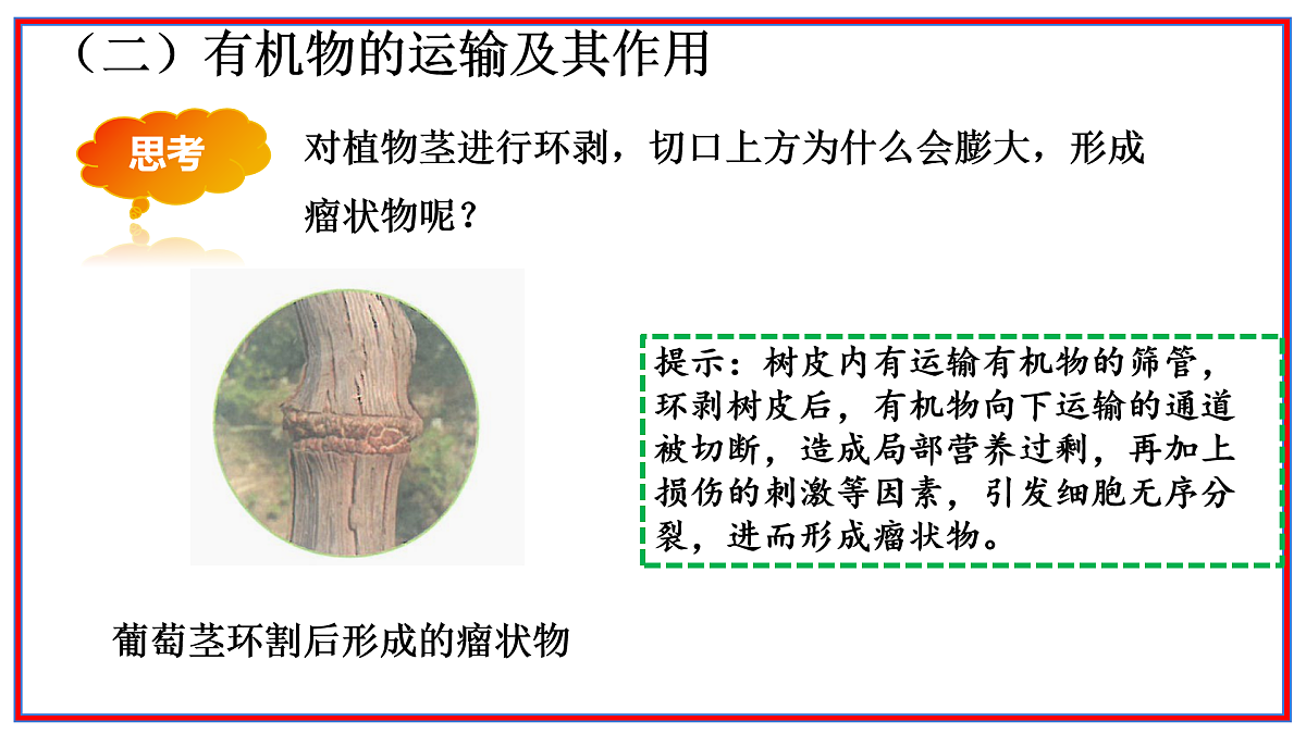 17964045第5页