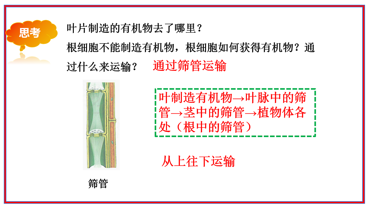 17964045第6页