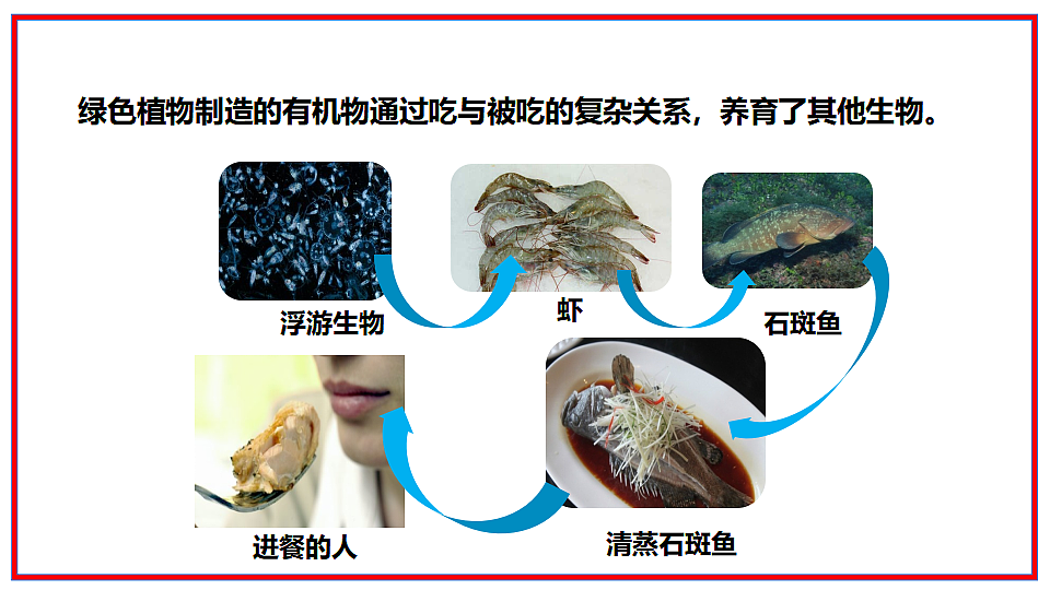 17964128第5页