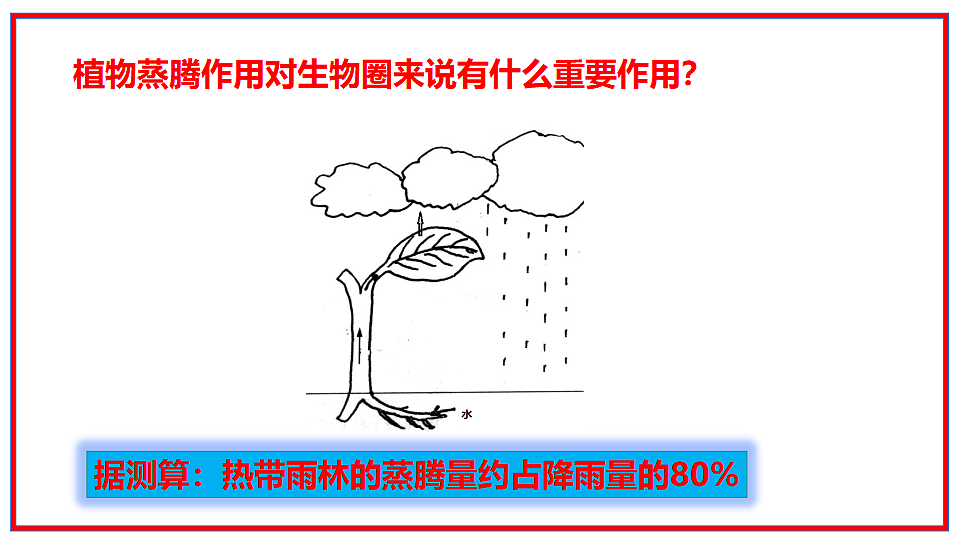 17964128第7页