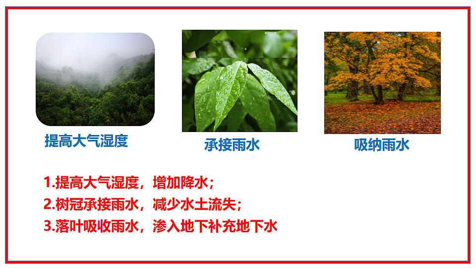 17964128第8页