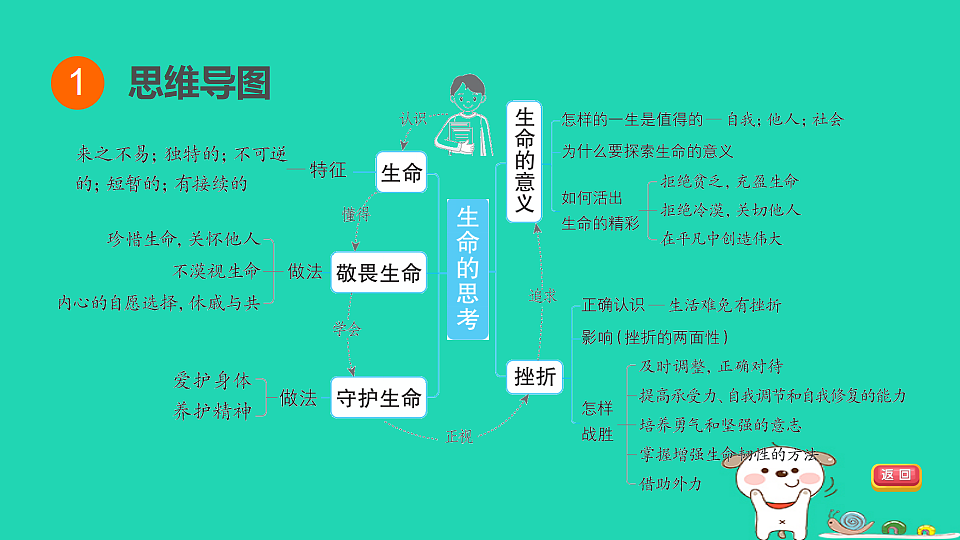 17964134第3页