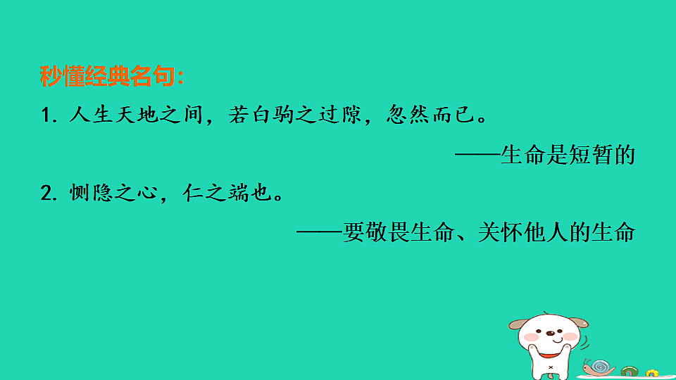 17964134第6页