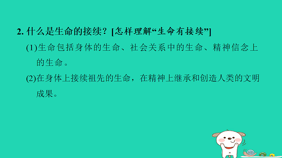 17964134第7页