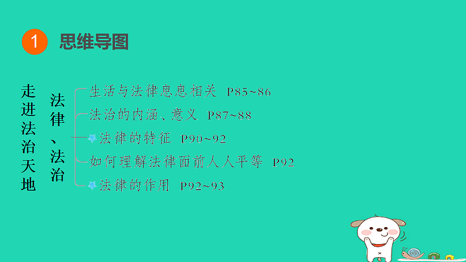17964205第3页