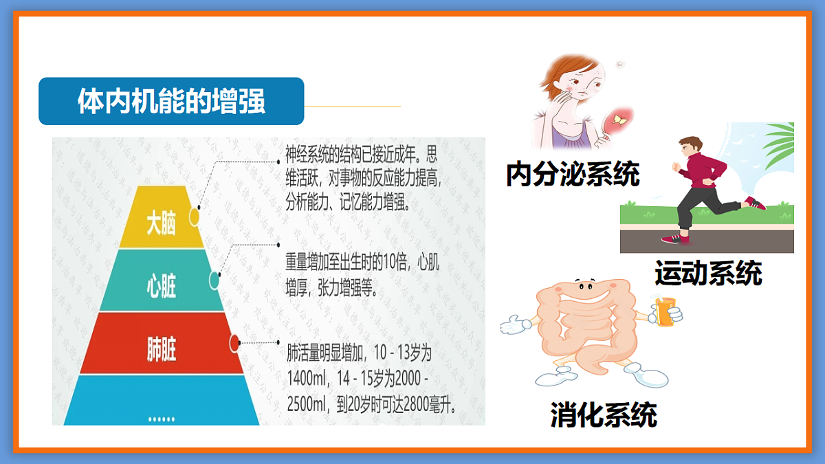 17964341第8页