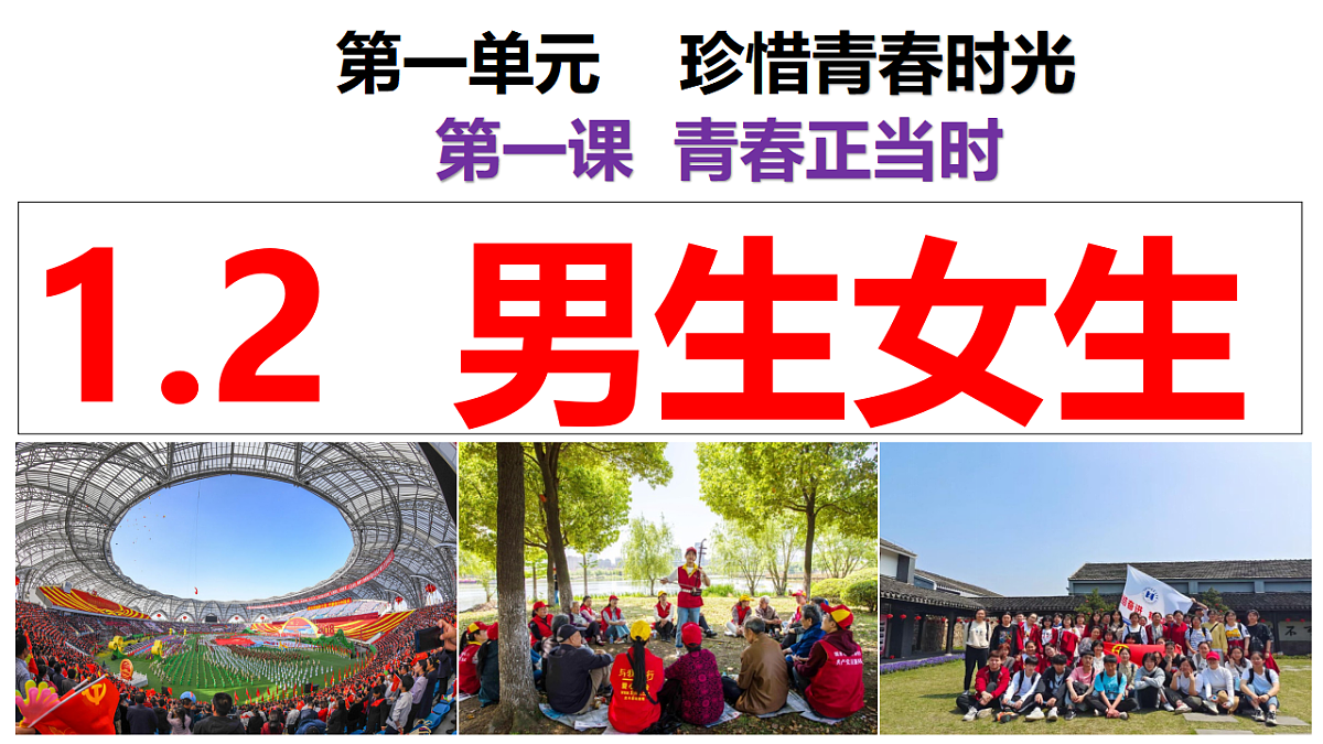 17964346第2页