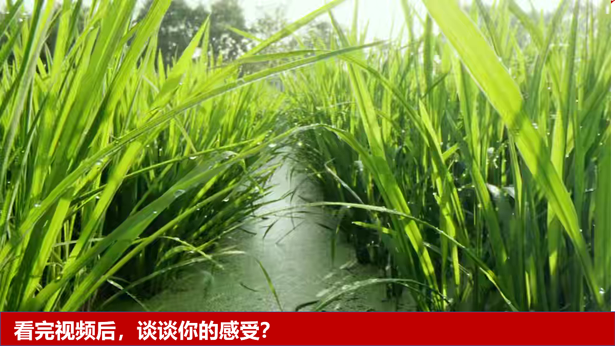 17964372第1页