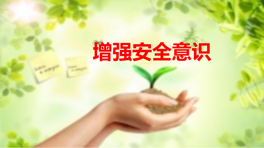 17964383第3页
