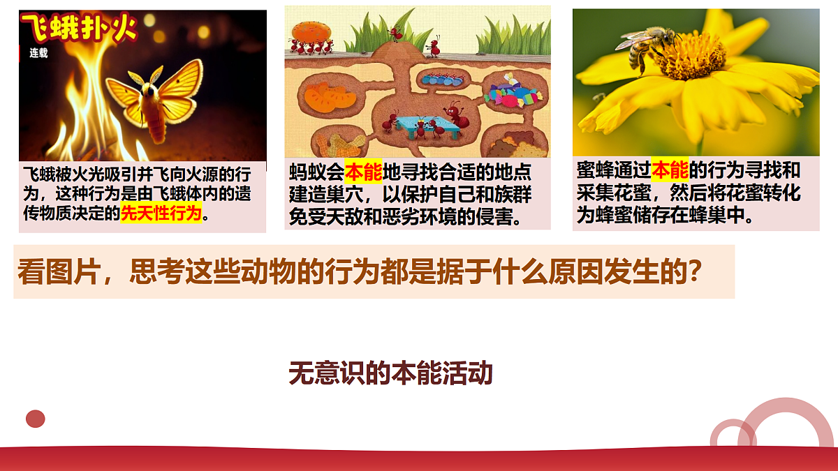 17964390第2页