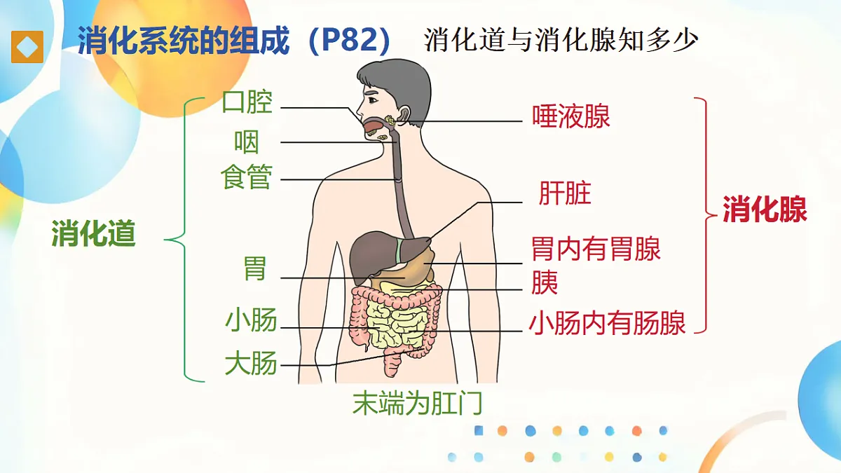17964832第6页