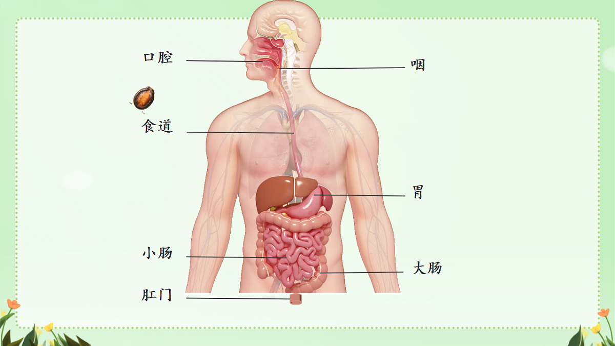 17964833第3页