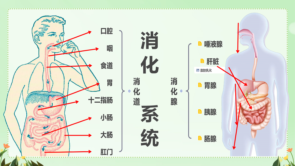 17964833第4页