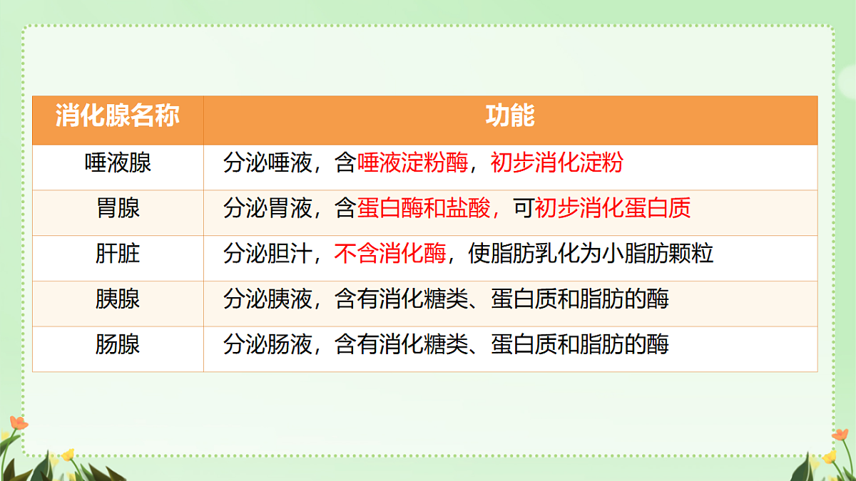17964833第5页
