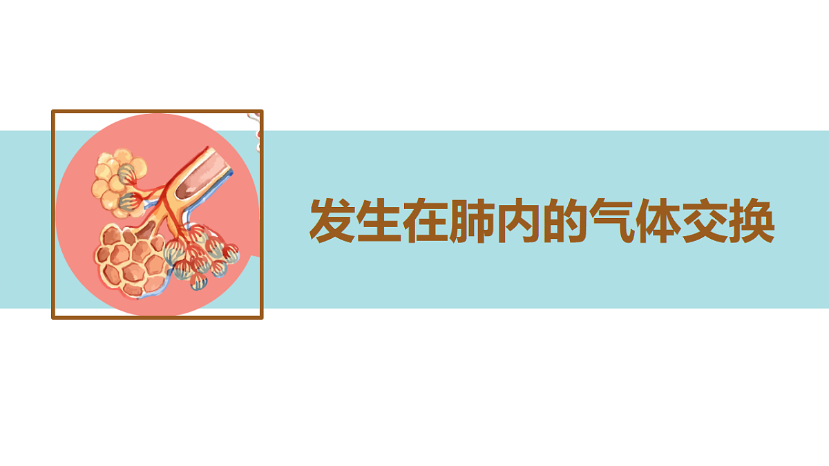 17965539第1页