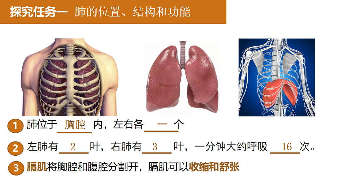 17965539第4页