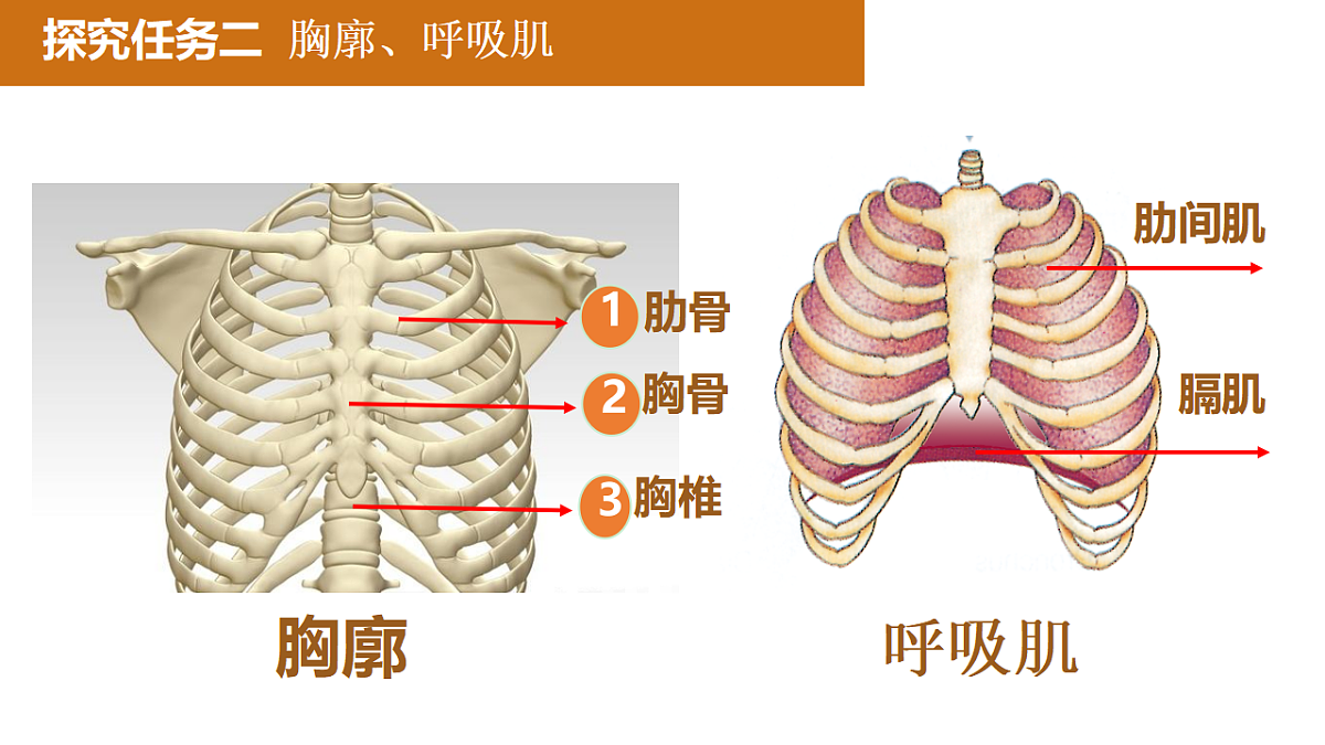 17965539第5页