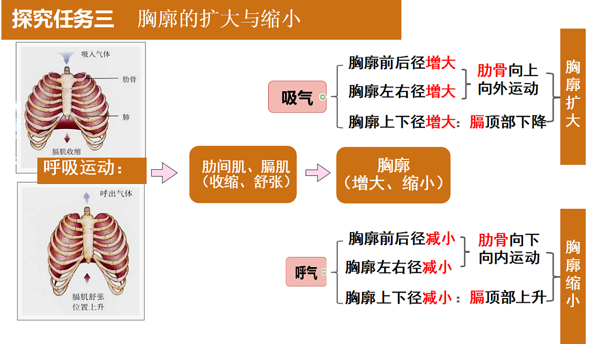 17965539第6页