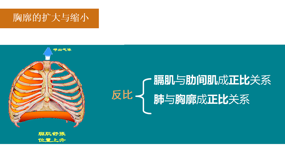 17965539第7页