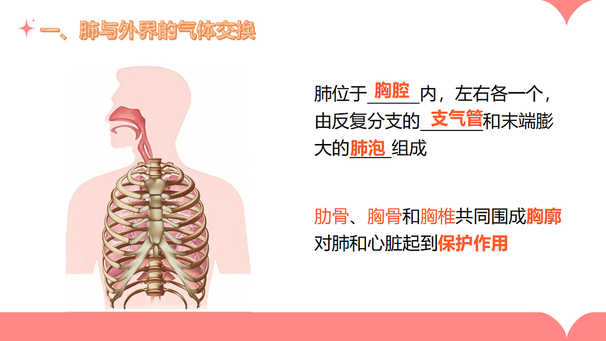 17965540第3页