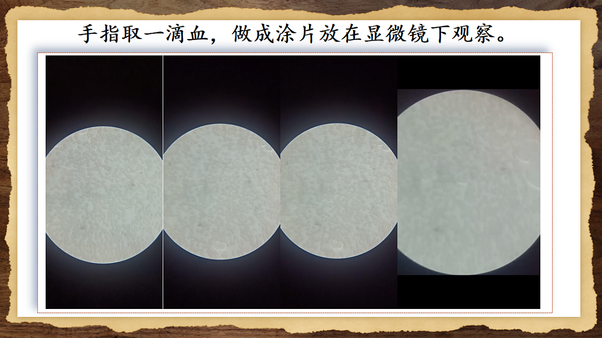 17966133第5页