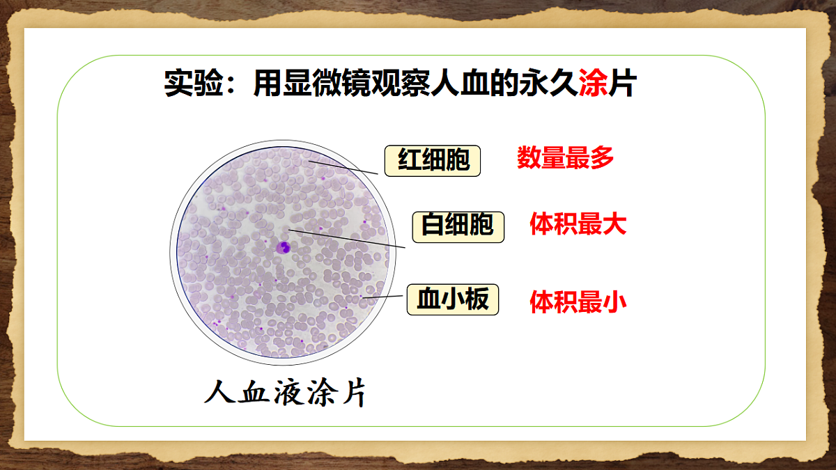 17966133第6页