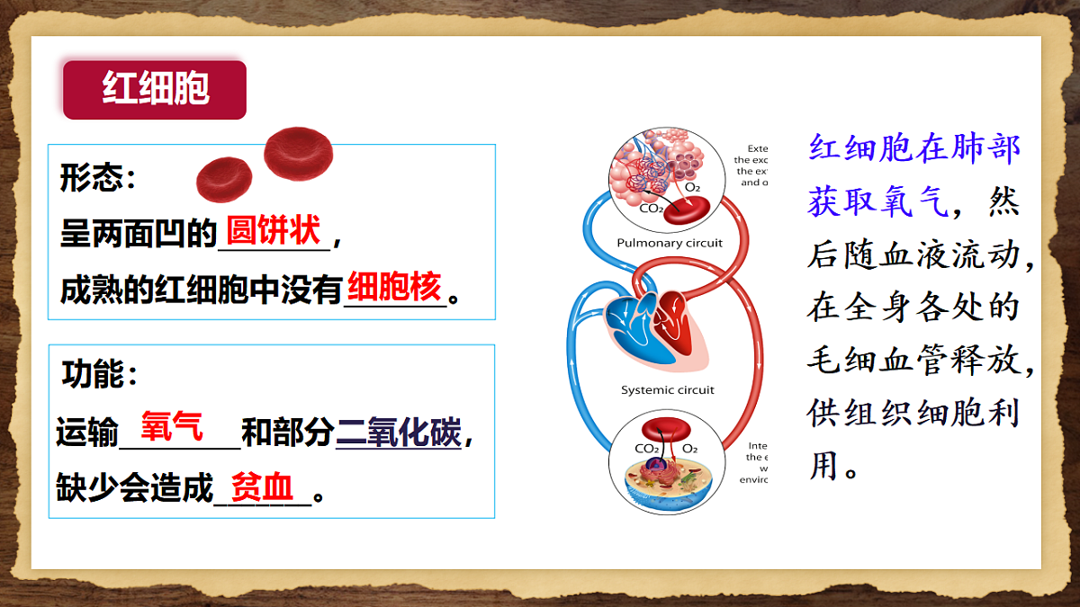 17966133第7页