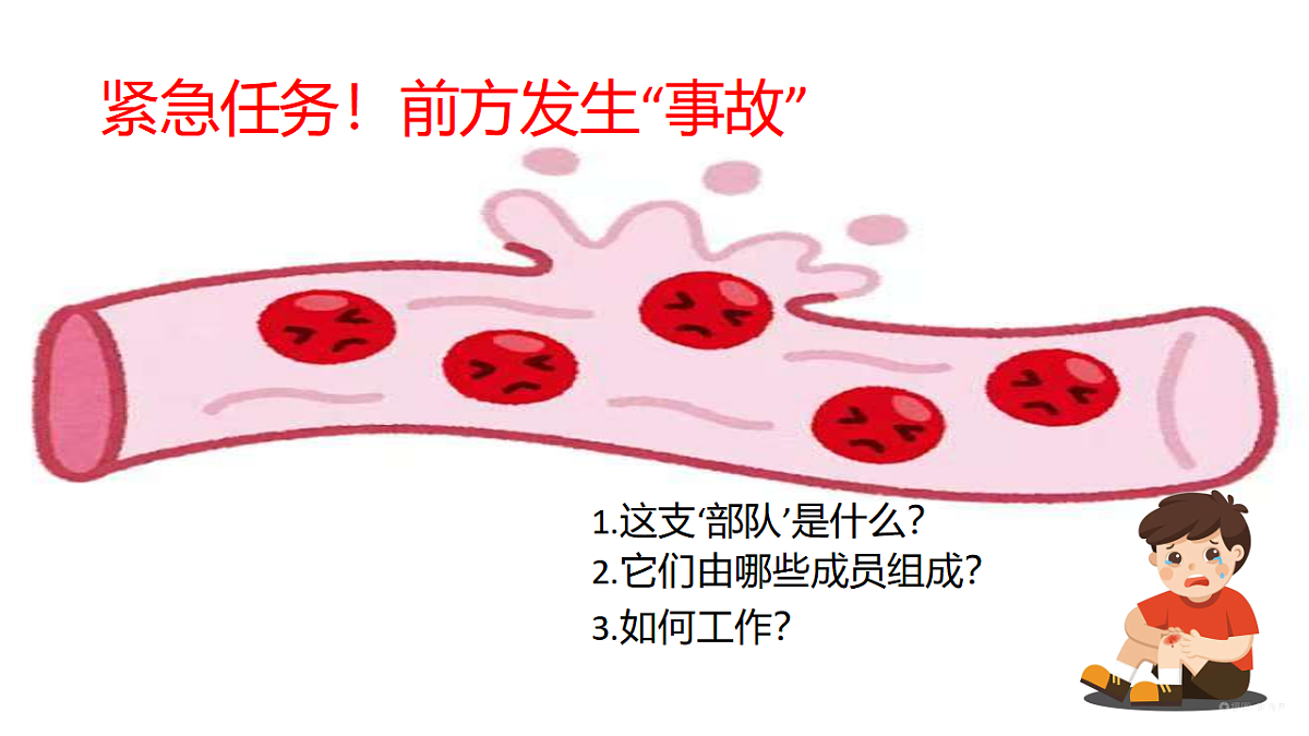 17966134第2页