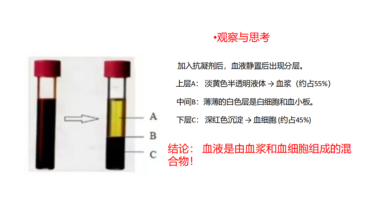 17966134第4页