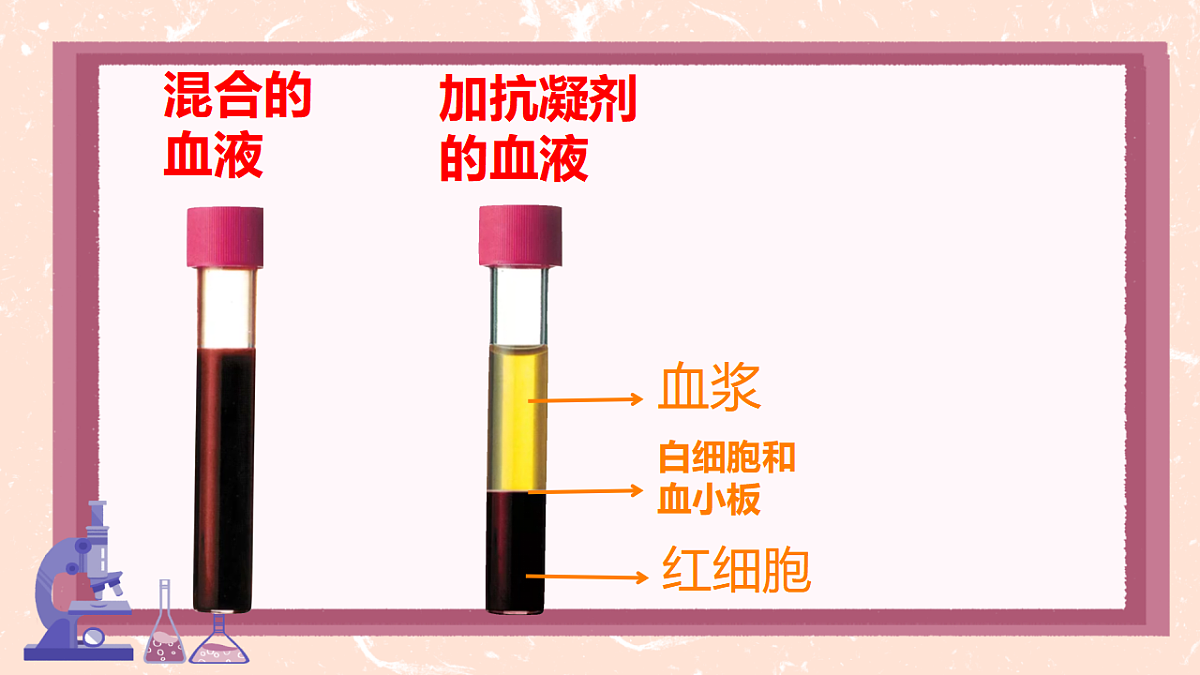 17966135第2页