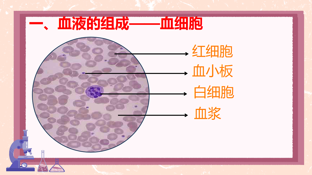 17966135第5页