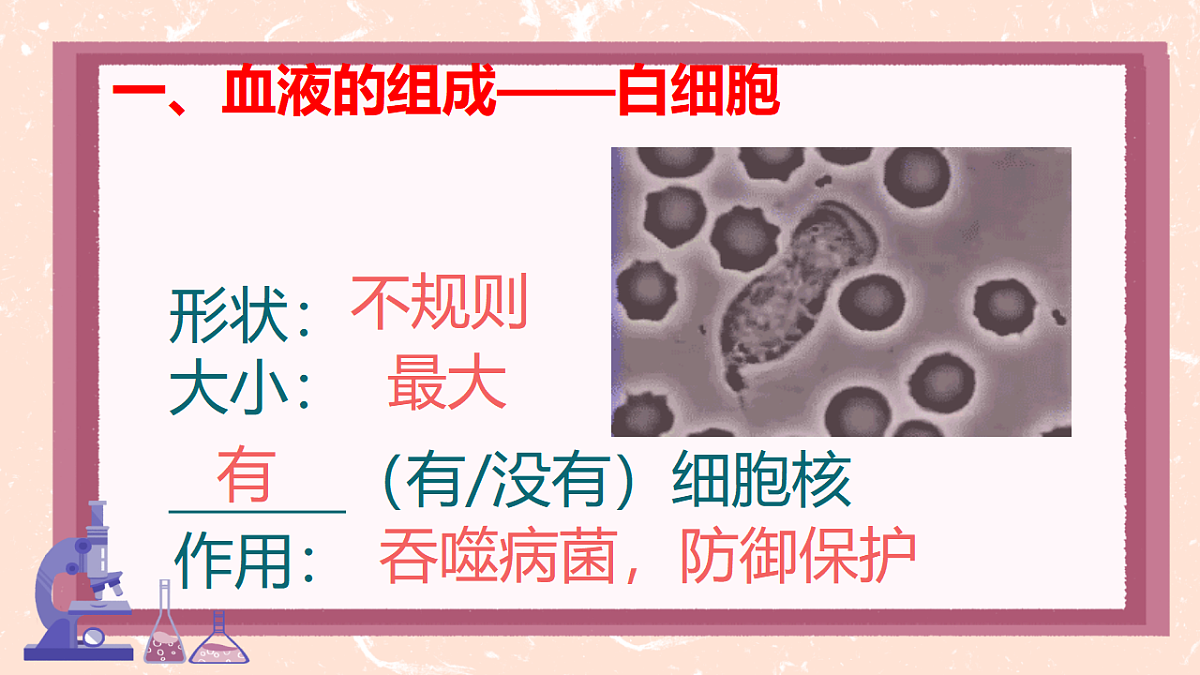 17966135第7页