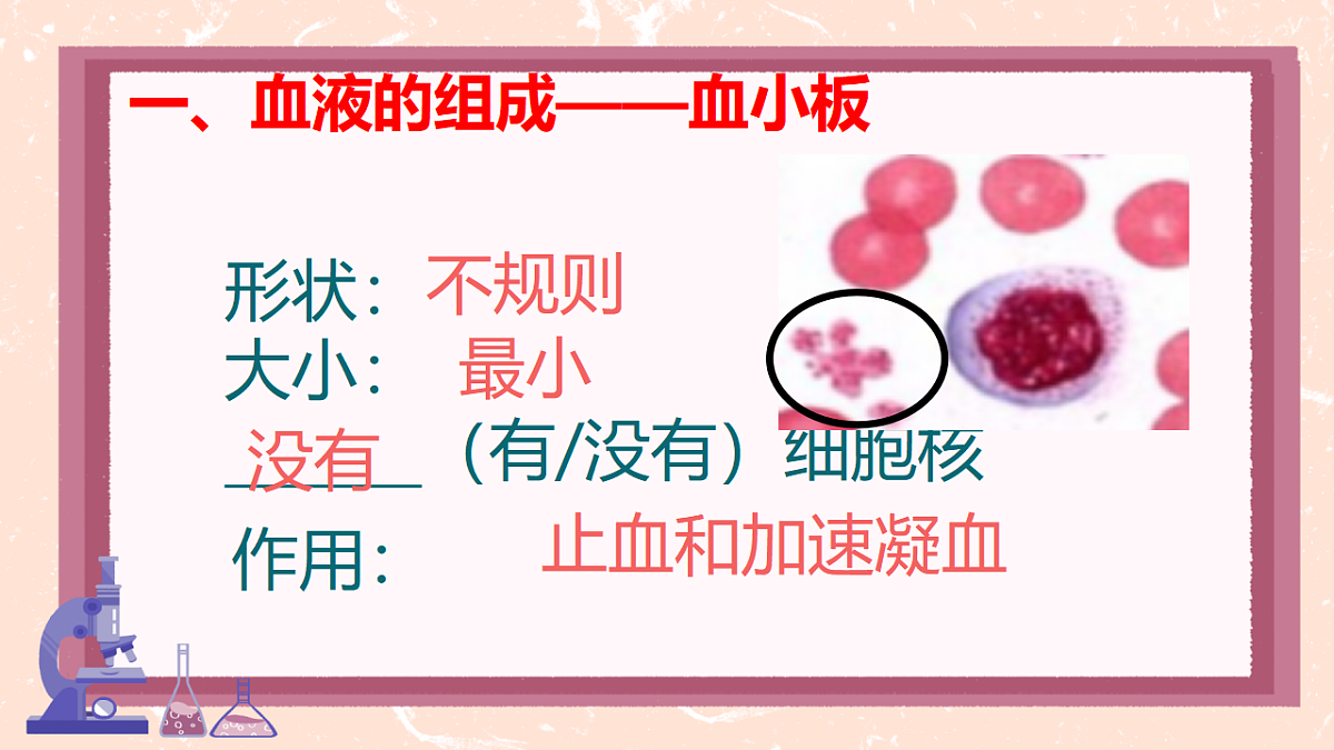17966135第8页