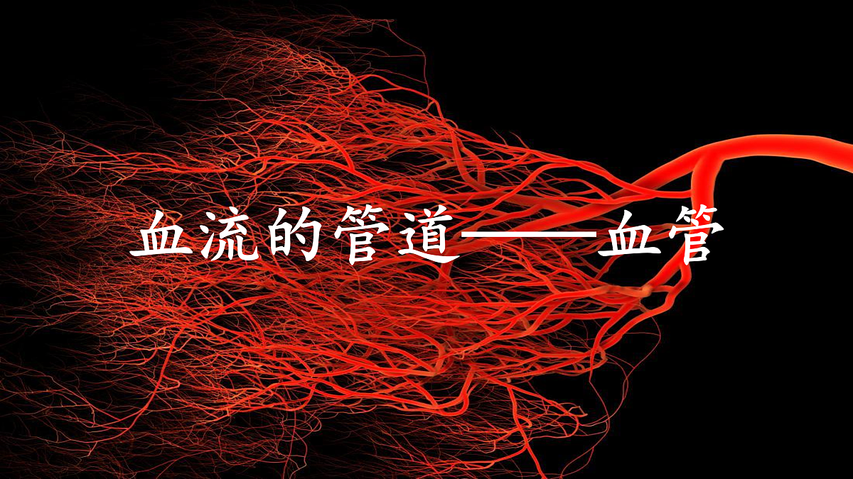 17966489第1页