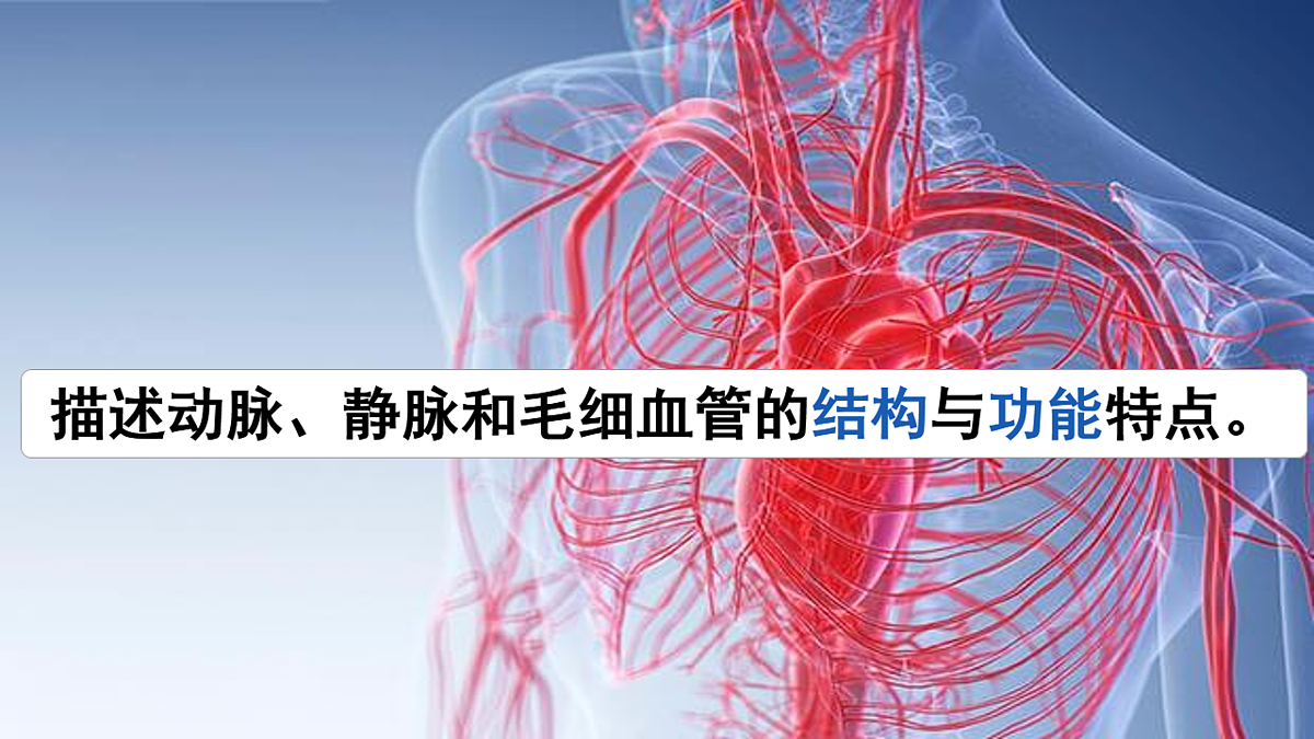 17966489第3页