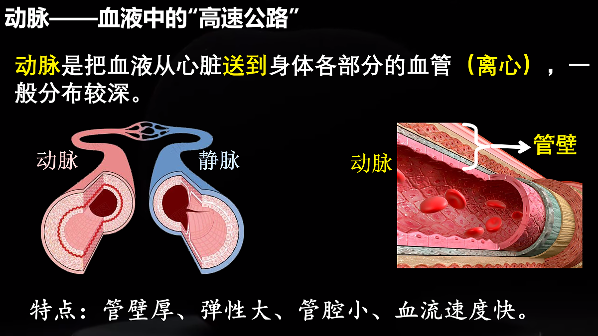 17966489第6页