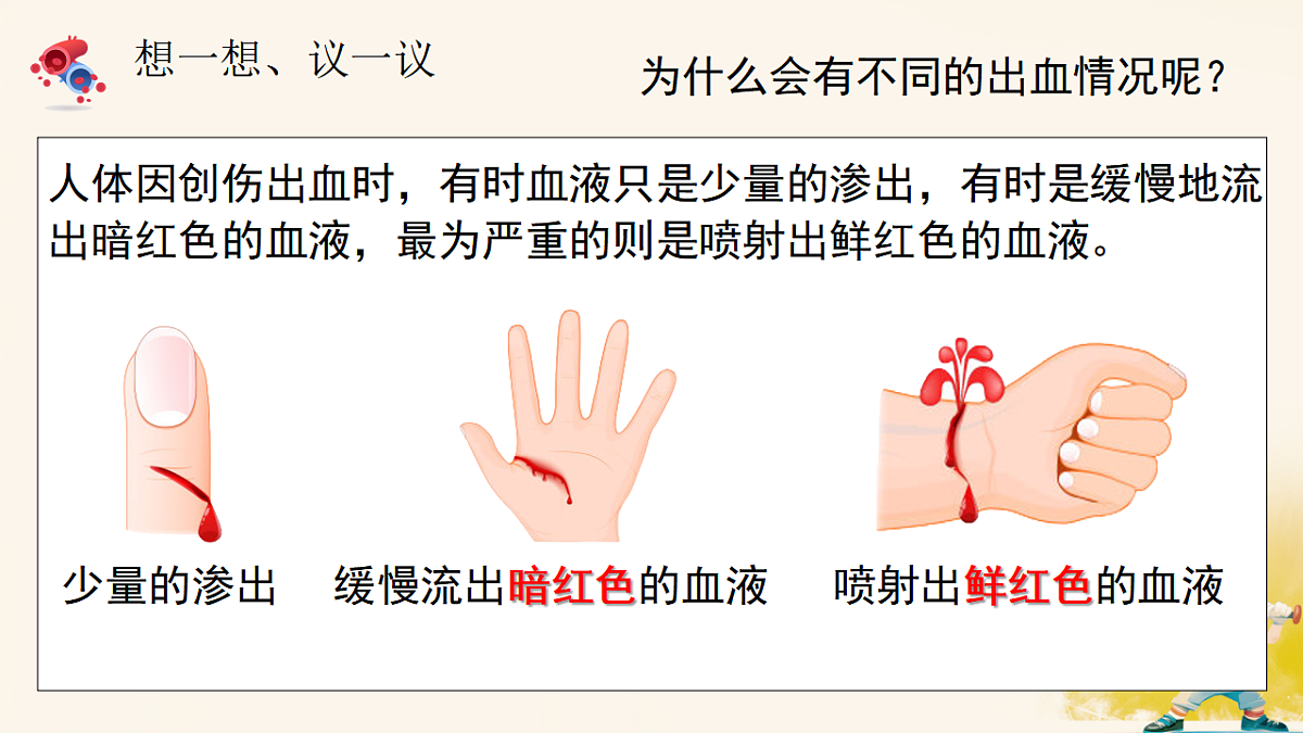 17966490第3页
