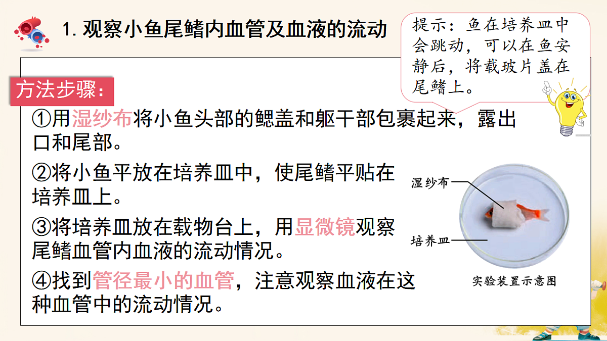 17966490第5页