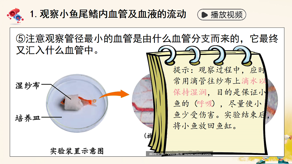 17966490第6页