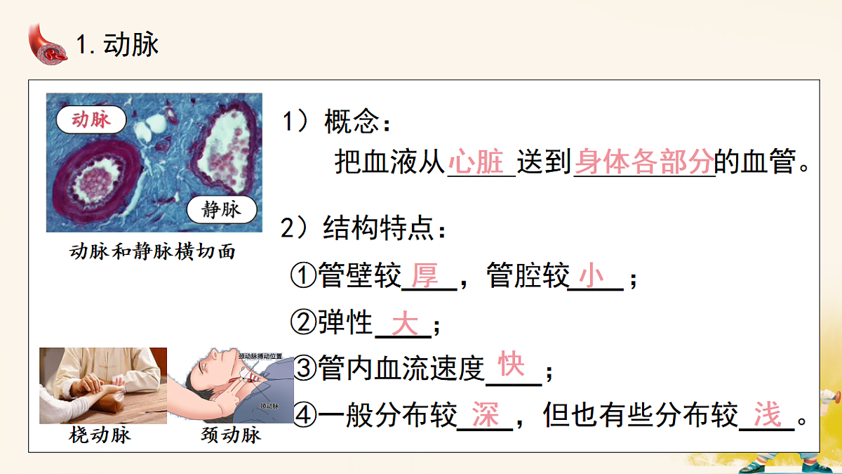 17966490第8页