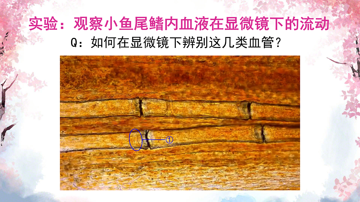 17966491第3页