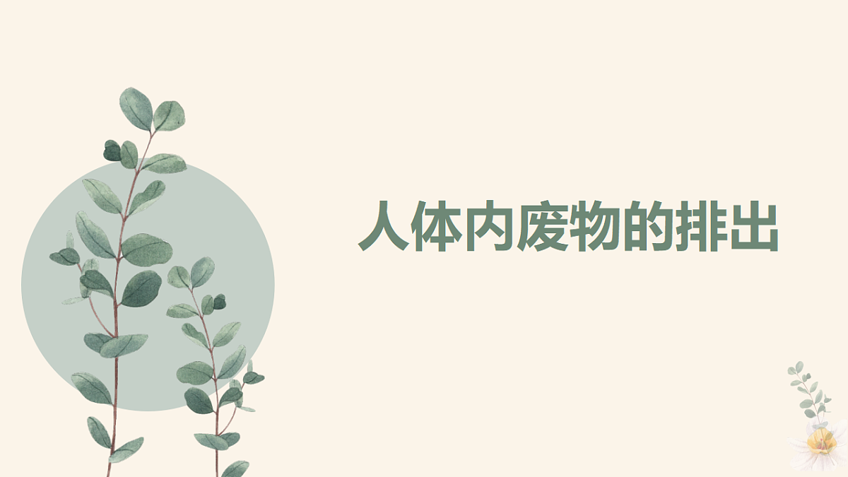 17966536第1页