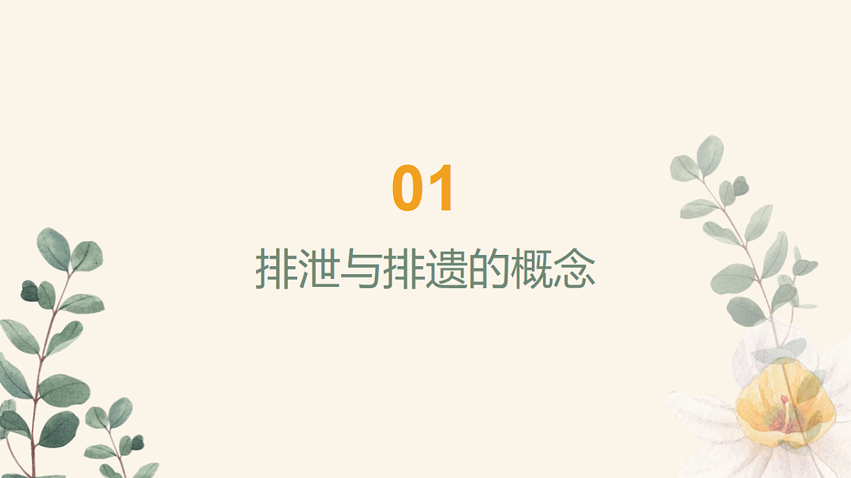 17966536第4页