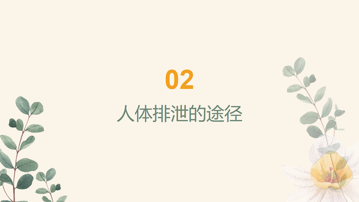 17966536第6页