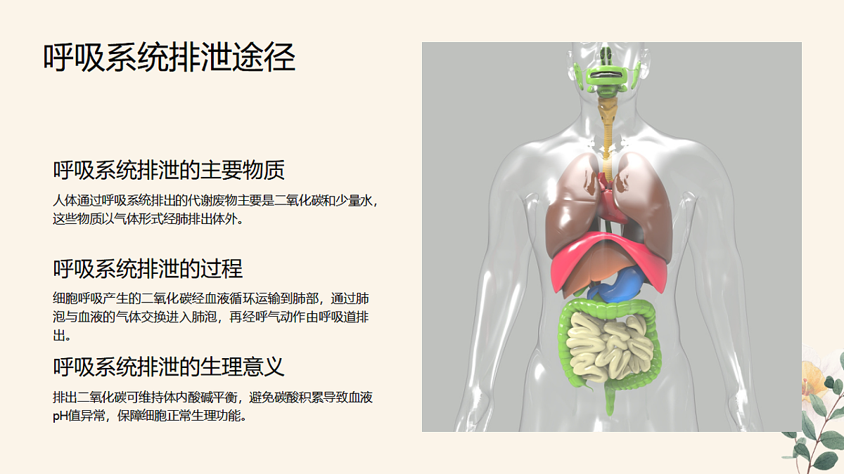 17966536第8页